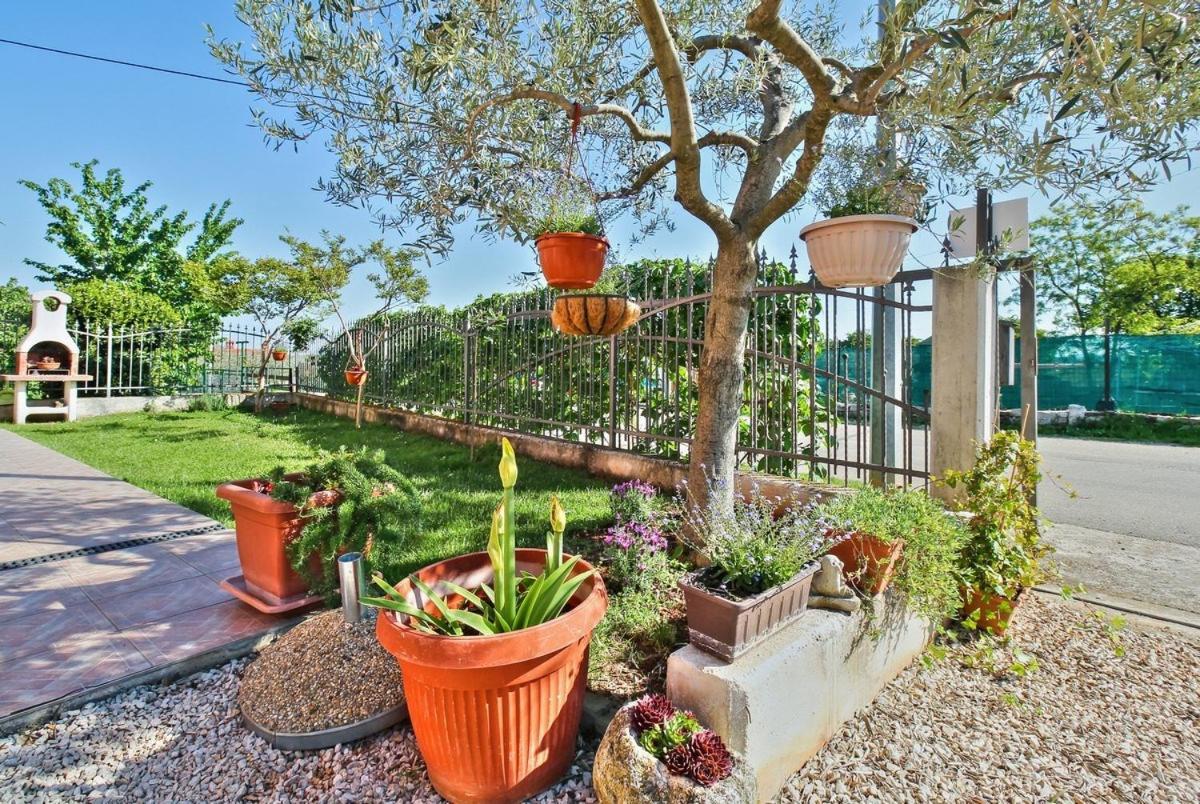 אומאג Lorena Apartments מראה חיצוני תמונה